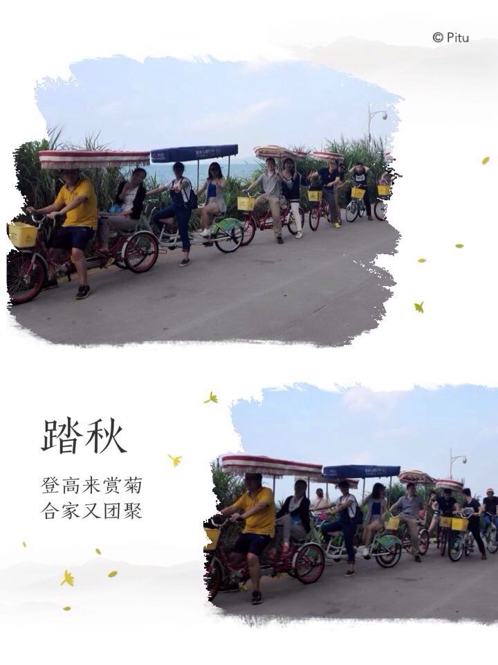 鼎芯電子銷售團隊深圳西沖一日游,秋高氣爽說走咱就走